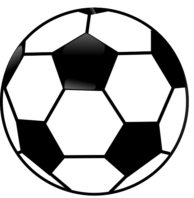 Balón de fútbol LOGO